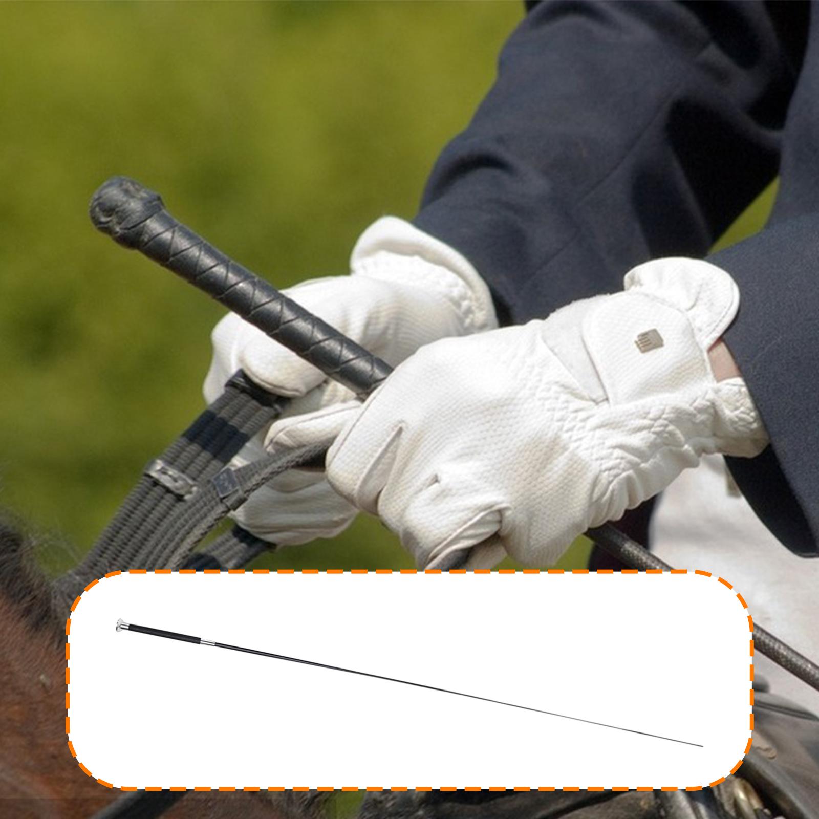 แส้ขี่ม้า แส้สำหรับขี่ม้าแบบยื - Riding Crop Dressage บทวิจารณ์และราคา